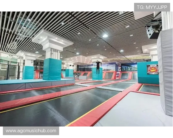 新2体育:用户体验升级,打造个性化的体育娱乐平台